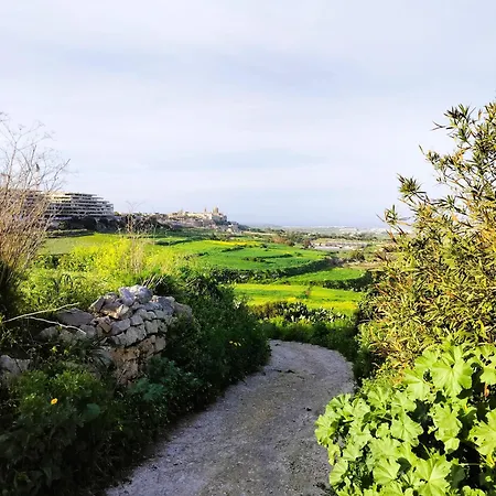 Two Bedroom Loft With Outdoor Area, Served With Lift Apartment *