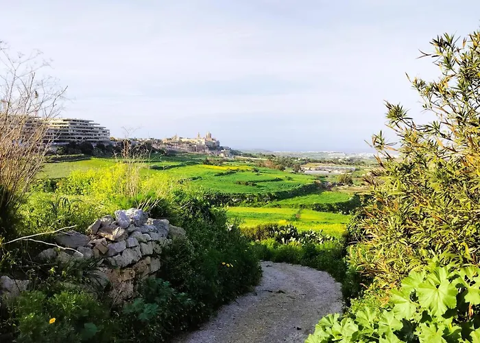 Two Bedroom Loft With Outdoor Area, Served With Lift Apartment *